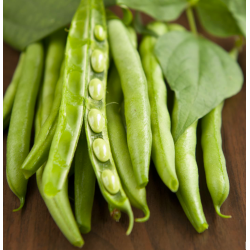 Beans, Green/Mixed - 200g